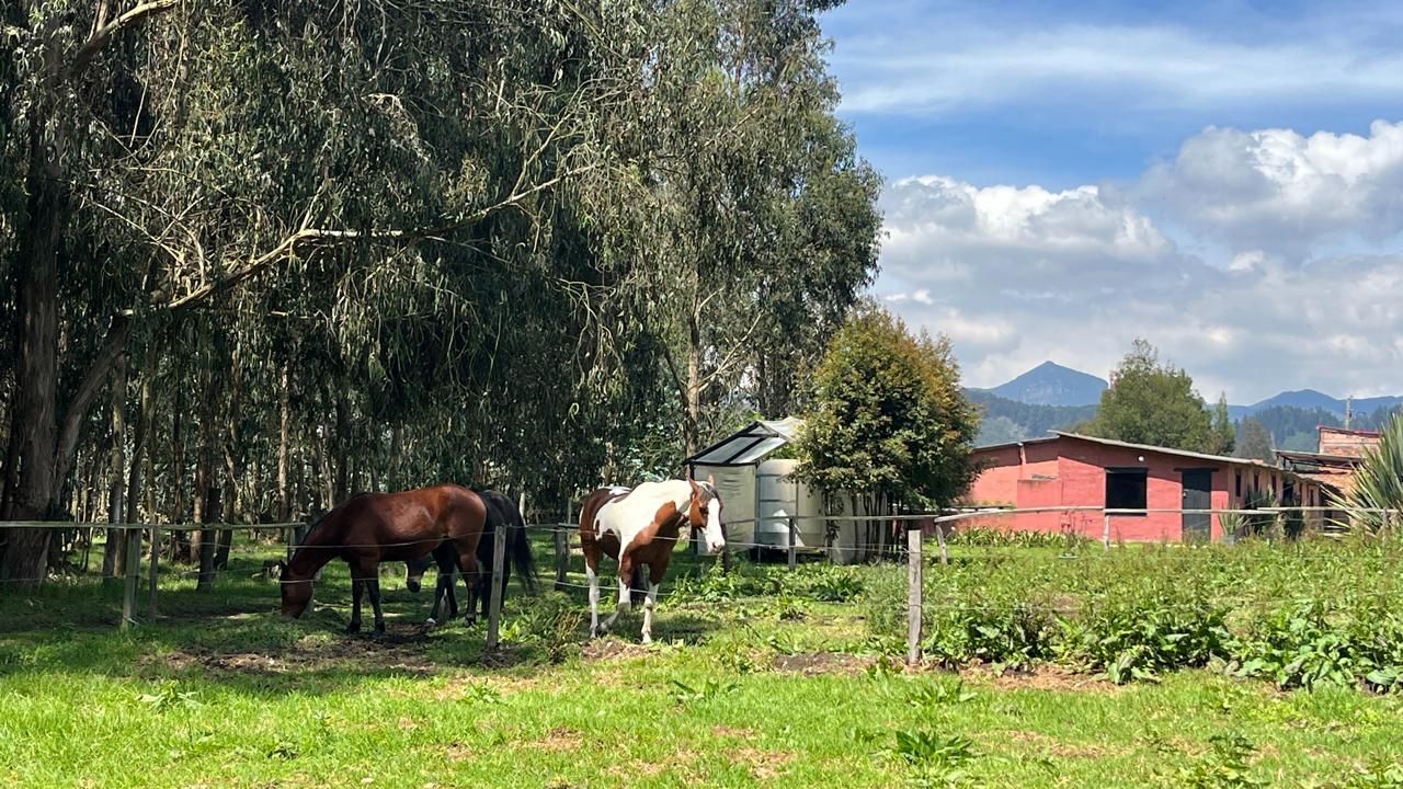 Finca en venta Cundinamarca Chía Chia 10200 m2 Habitaciones 1 Baños 1 Garajes 0 Precio $3500000000