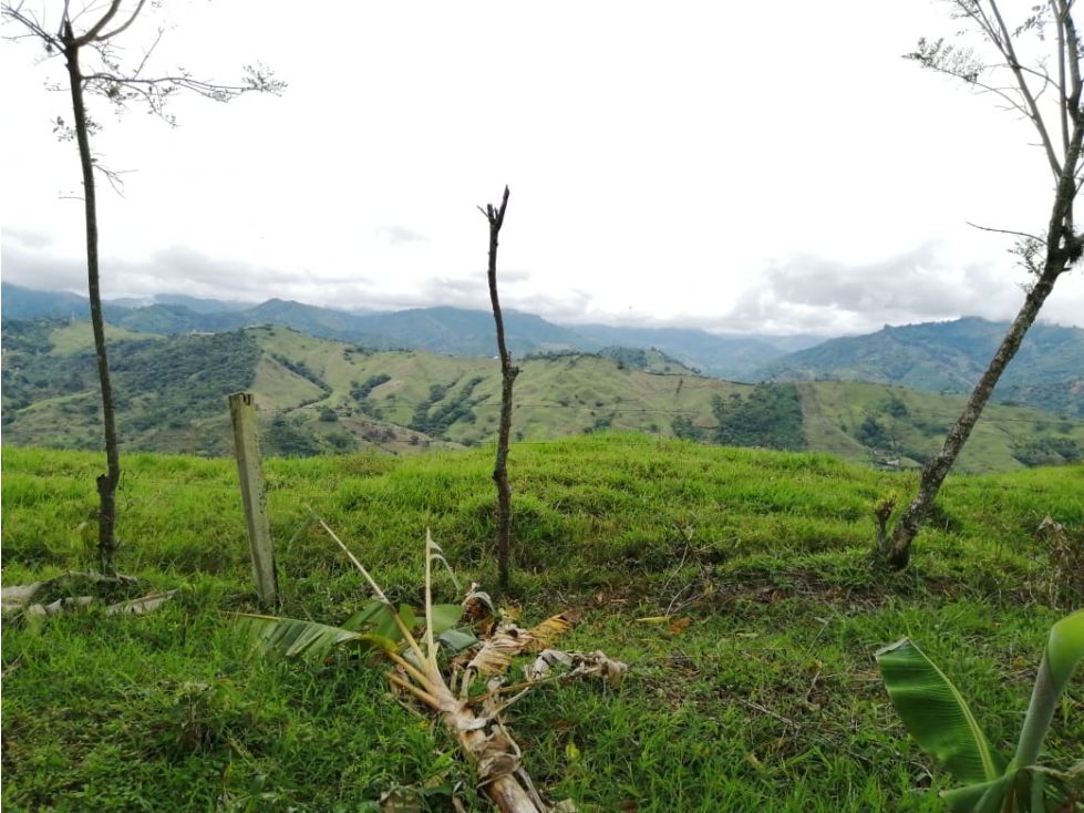 Lote en venta Antioquia Andes Andes 2700 m2 Habitaciones 0 Baños 0 Garajes 0 Precio $140000000