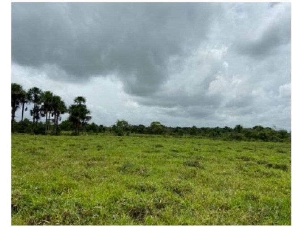 Lote en venta Meta Villavicencio San Isidro 478300 m2 Habitaciones 0 Baños 0 Garajes 0 Precio $14592400000