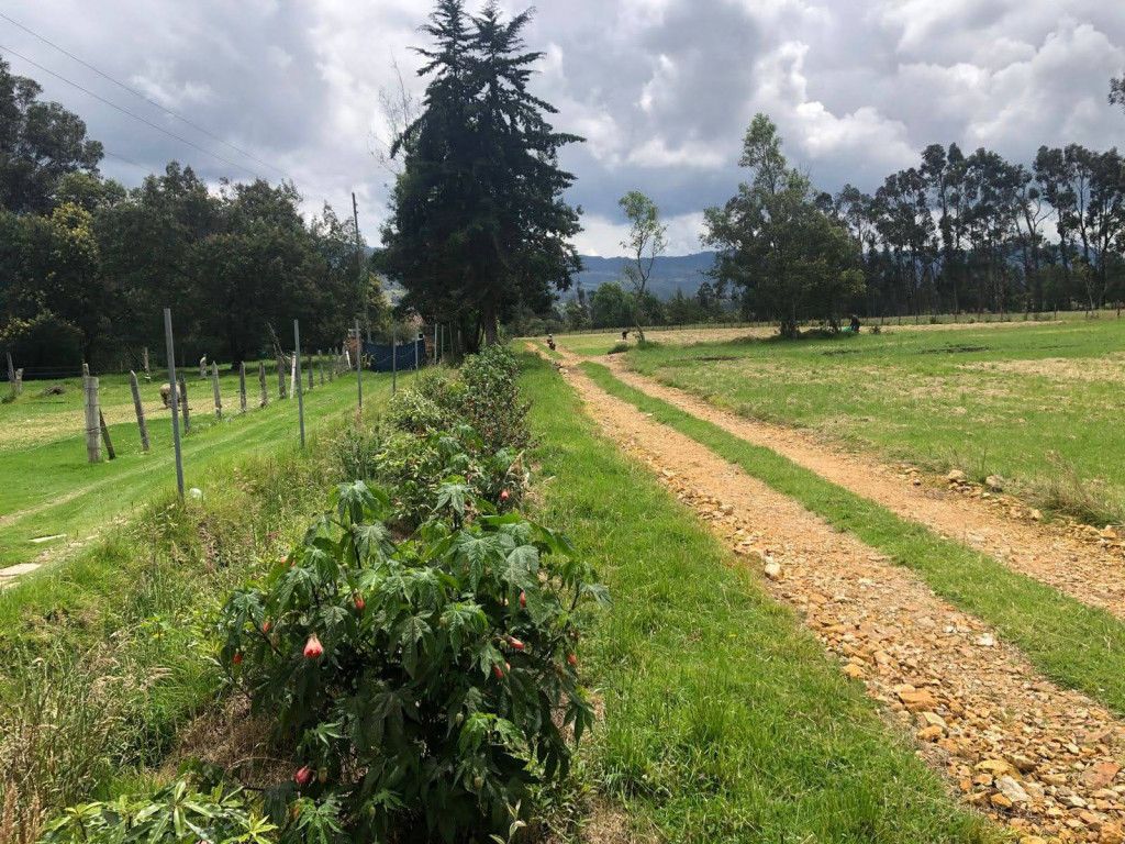 Lote en venta Cundinamarca Guasca Guasca 29 m2 Habitaciones 0 Baños 0 Garajes 0 Precio $800000000