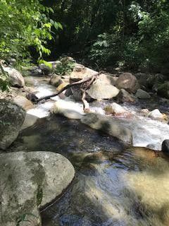 Lote en venta Magdalena Santa Marta Santa Marta 80000 m2 Habitaciones 0 Baños 0 Garajes 0 Precio $800000000