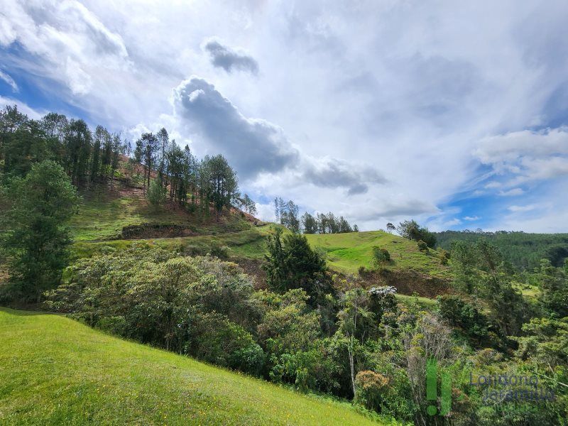 Lote en venta Antioquia El Retiro El Retiro 8964 m2 Habitaciones 0 Baños 0 Garajes 0 Precio $1800000000