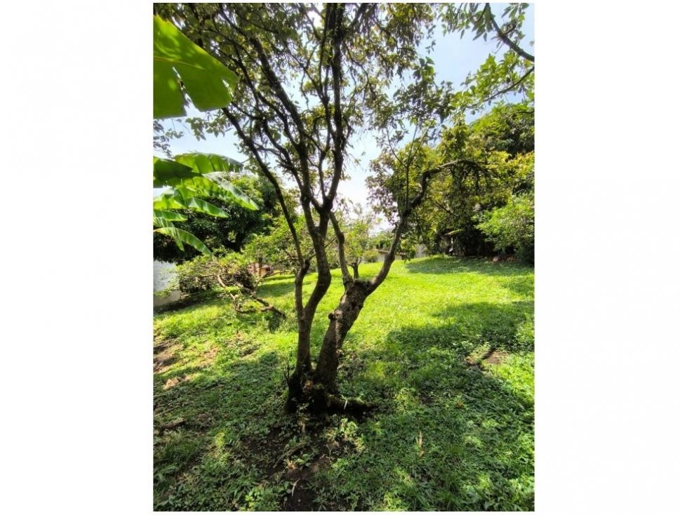 Lote en venta Antioquia Medellín Medellín 1184 m2 Habitaciones 0 Baños 0 Garajes 0 Precio $3500000000