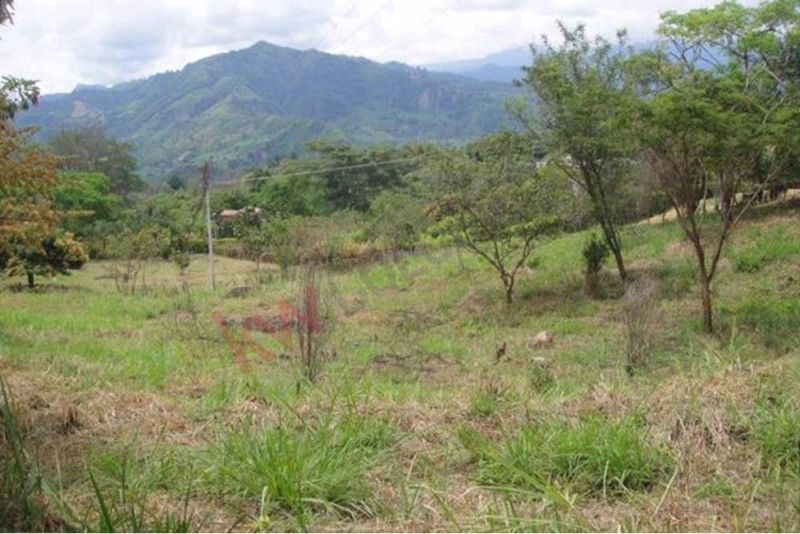 Lote en venta Cundinamarca La Mesa La Mesa 5000 m2 Habitaciones 0 Baños 0 Garajes 0 Precio $450000000