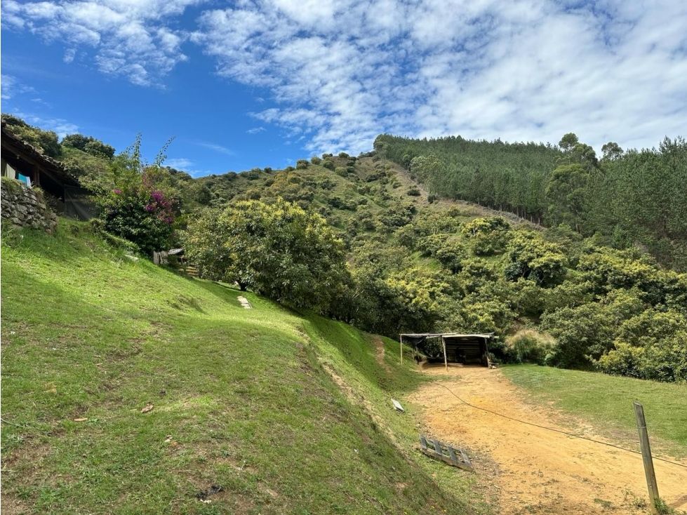 Lote en venta Antioquia Guarne Guarne 180 m2 Habitaciones 0 Baños 0 Garajes 0 Precio $2700000000