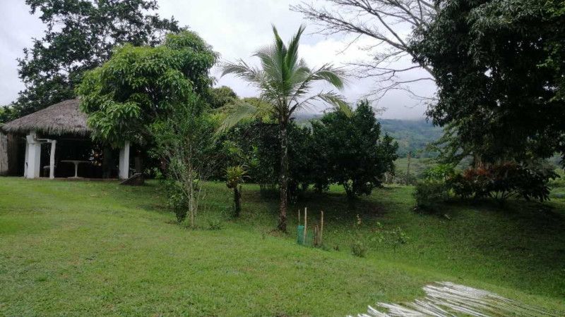 Finca en venta Cundinamarca Guaduas Guaduas 13100 m2 Habitaciones 3 Baños 1 Garajes 0 Precio $1100000000