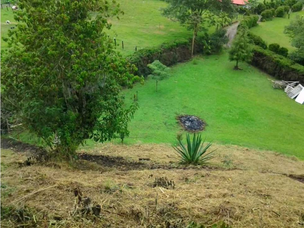 Lote en venta Quindío Salento Salento 2481 m2 Habitaciones 0 Baños 0 Garajes 0 Precio $400000000