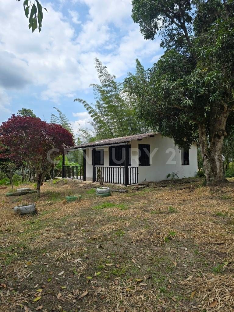 Finca en venta Cundinamarca Pacho Pacho 3 m2 Habitaciones 2 Baños 1 Garajes 0 Precio $330000000