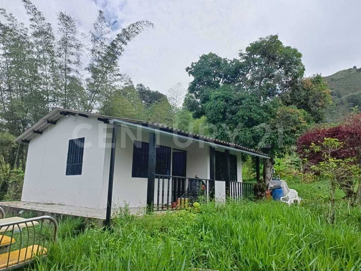 Finca en venta Cundinamarca Pacho Pacho 3 m2 Habitaciones 2 Baños 1 Garajes 0 Precio $330000000