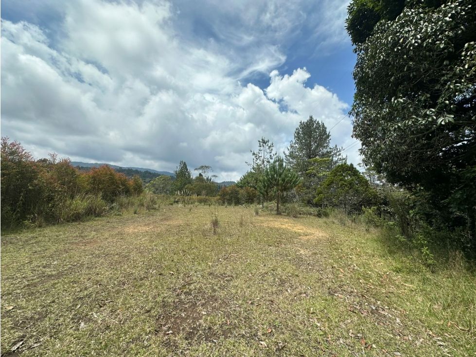 Lote en venta Antioquia El Retiro El Retiro 6400 m2 Habitaciones 0 Baños 0 Garajes 0 Precio $850000000