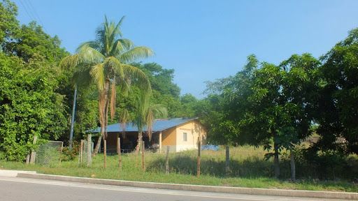 Finca en venta Tolima Guamo El Carmen 24 m2 Habitaciones 2 Baños 1 Garajes 0 Precio $700000000