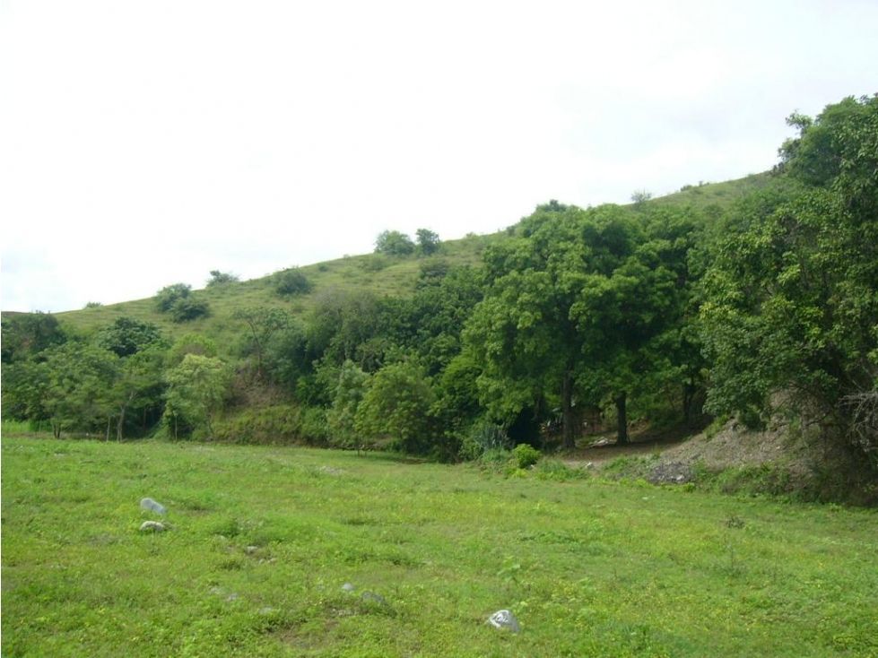 Lote en venta Antioquia Santafé De Antioquia Santafé De Antioquia 12519 m2 Habitaciones 0 Baños 0 Garajes 0 Precio $600000000