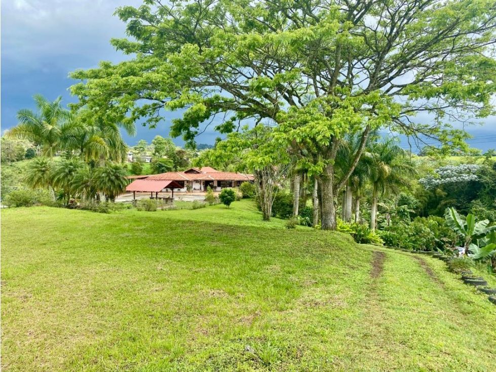 Lote en venta Risaralda Pereira Pereira 15 m2 Habitaciones 0 Baños 0 Garajes 0 Precio $750000000