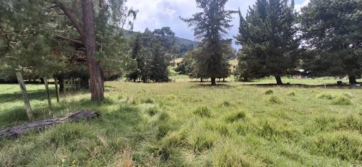 Lote en venta Cundinamarca Gachancipá Centro 4384 m2 Habitaciones 0 Baños 0 Garajes 0 Precio $2200000000
