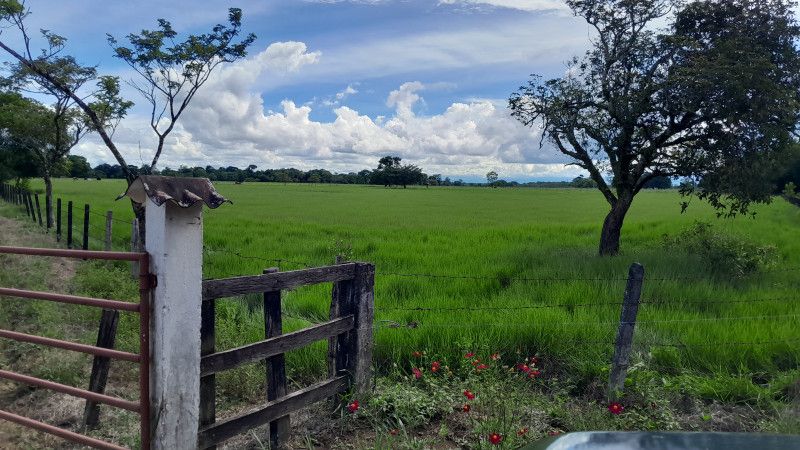 Finca en venta Meta San Martín San Martin 510 m2 Habitaciones 1 Baños 1 Garajes 5 Precio $3500000000