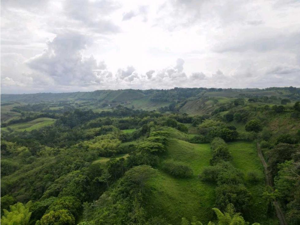 Finca en venta Quindío Montenegro Montenegro 100 m2 Habitaciones 2 Baños 2 Garajes 2 Precio $6050000000