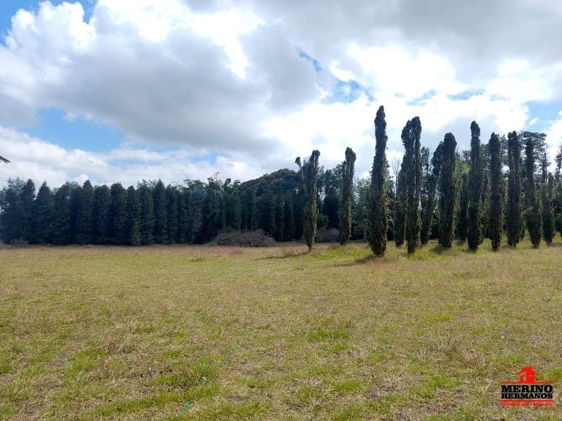 Lote en venta Antioquia Rionegro Centro 0 m2 Habitaciones 0 Baños 1 Garajes 0 Precio $5000000000