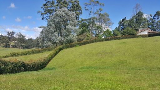 Lote en venta Antioquia El Carmen De Viboral El Centro 1 m2 Habitaciones 0 Baños 0 Garajes 0 Precio $730000000