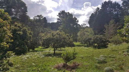 Lote en venta Antioquia Rionegro Urbanizacion Altos De Pereira 1 m2 Habitaciones 0 Baños 0 Garajes 0 Precio $2997000000