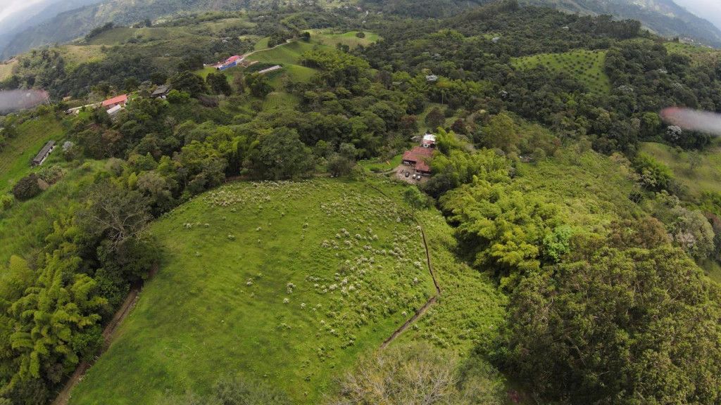 Finca en venta Quindío Armenia Ub Balsora 57600 m2 Habitaciones 0 Baños 0 Garajes 0 Precio $1200000000