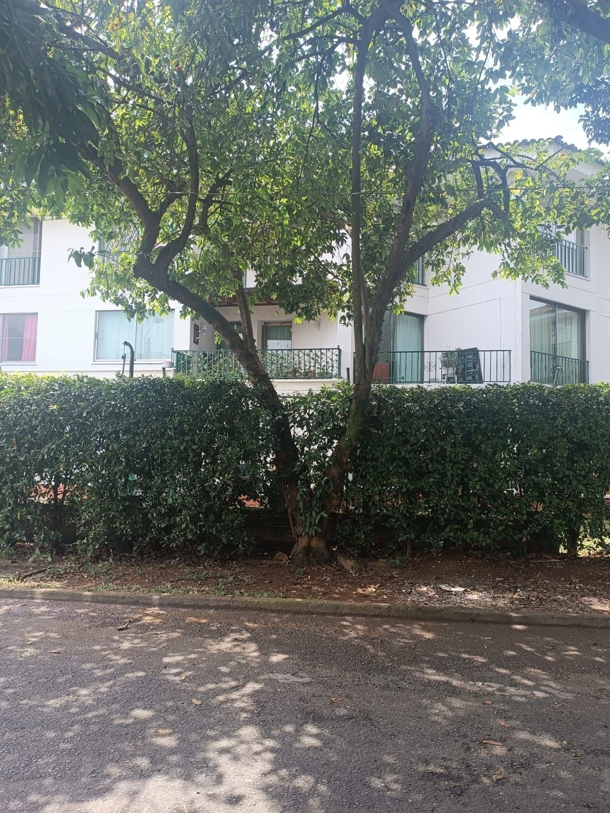 Apartamento en venta Valle Del Cauca Cali Quintas De Don Simón 60 m2 Habitaciones 2 Baños 1 Garajes 1 Precio $310000000