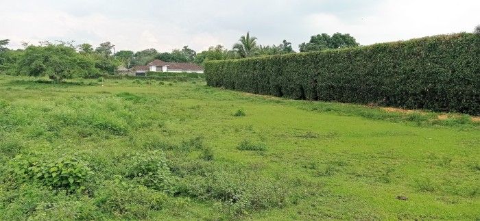 Lote en venta Valle Del Cauca Cali Parcelaciones Pance 6436 m2 Habitaciones 0 Baños 0 Garajes 0 Precio $7400000000