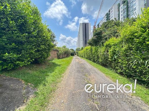 Lote en venta Tolima Ibagué San Francisco 840 m2 Habitaciones 0 Baños 0 Garajes 0 Precio $950000000