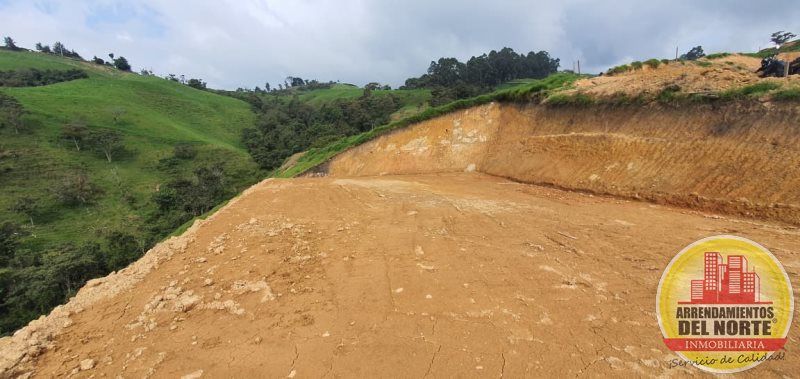 Lote en venta Antioquia San Pedro San Pedro 1 m2 Habitaciones 0 Baños 0 Garajes 0 Precio $256062000