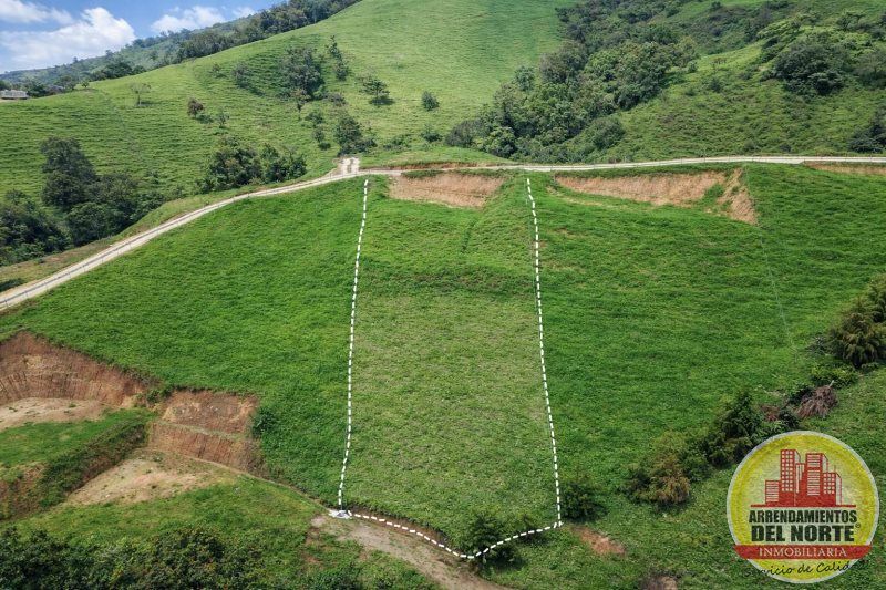 Lote en venta Antioquia San Pedro San Pedro 1 m2 Habitaciones 0 Baños 0 Garajes 0 Precio $201462000