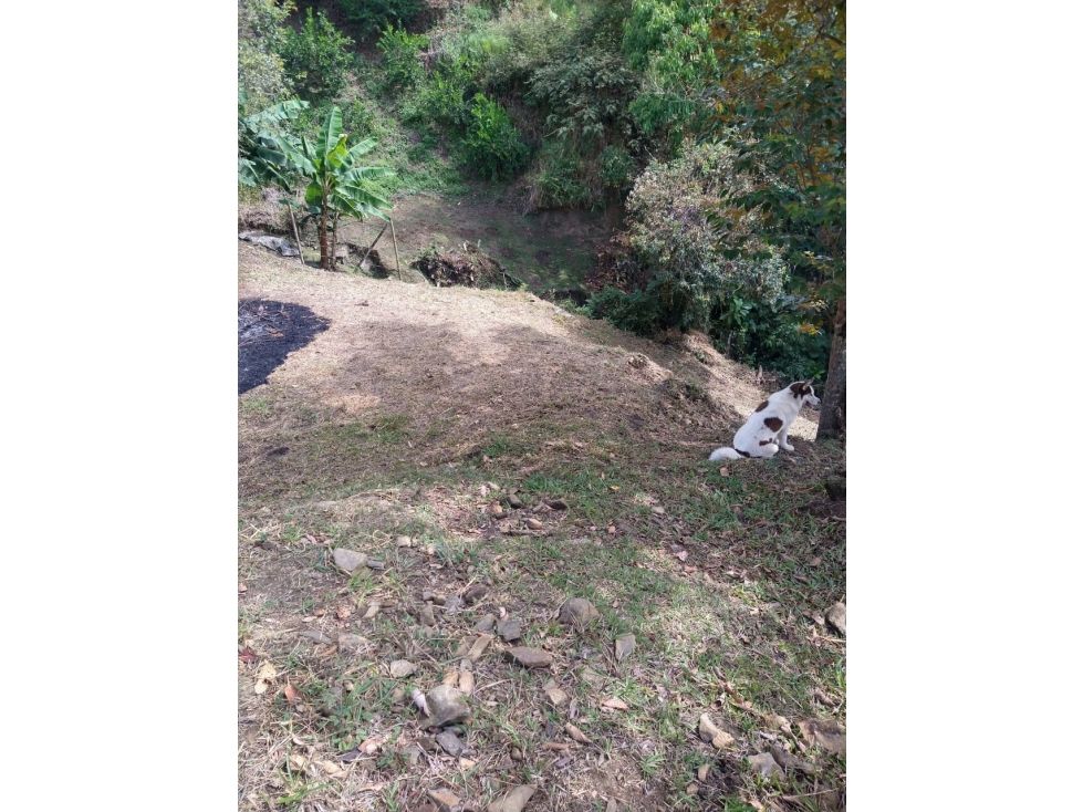 Lote en venta Antioquia Copacabana Copacabana 1375 m2 Habitaciones 0 Baños 0 Garajes 0 Precio $160000000