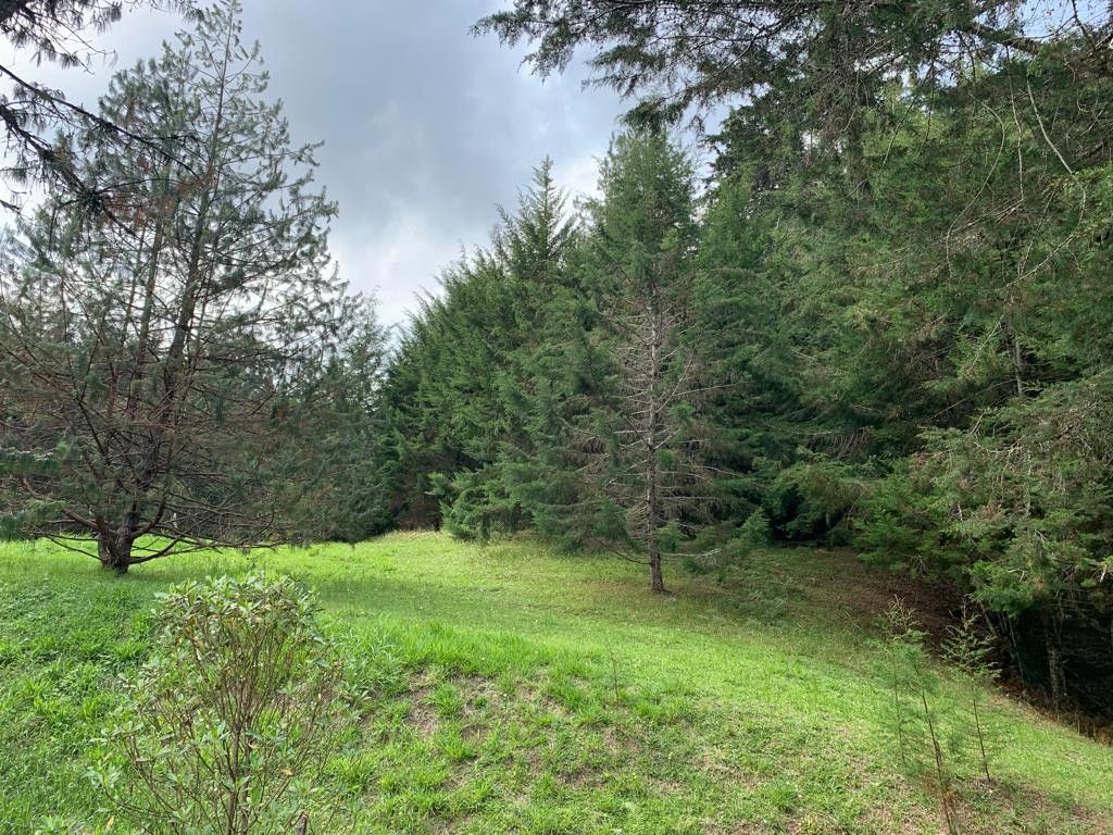 Lote en venta Antioquia La Ceja La Ceja 0 m2 Habitaciones 0 Baños 0 Garajes 0 Precio $1250000000