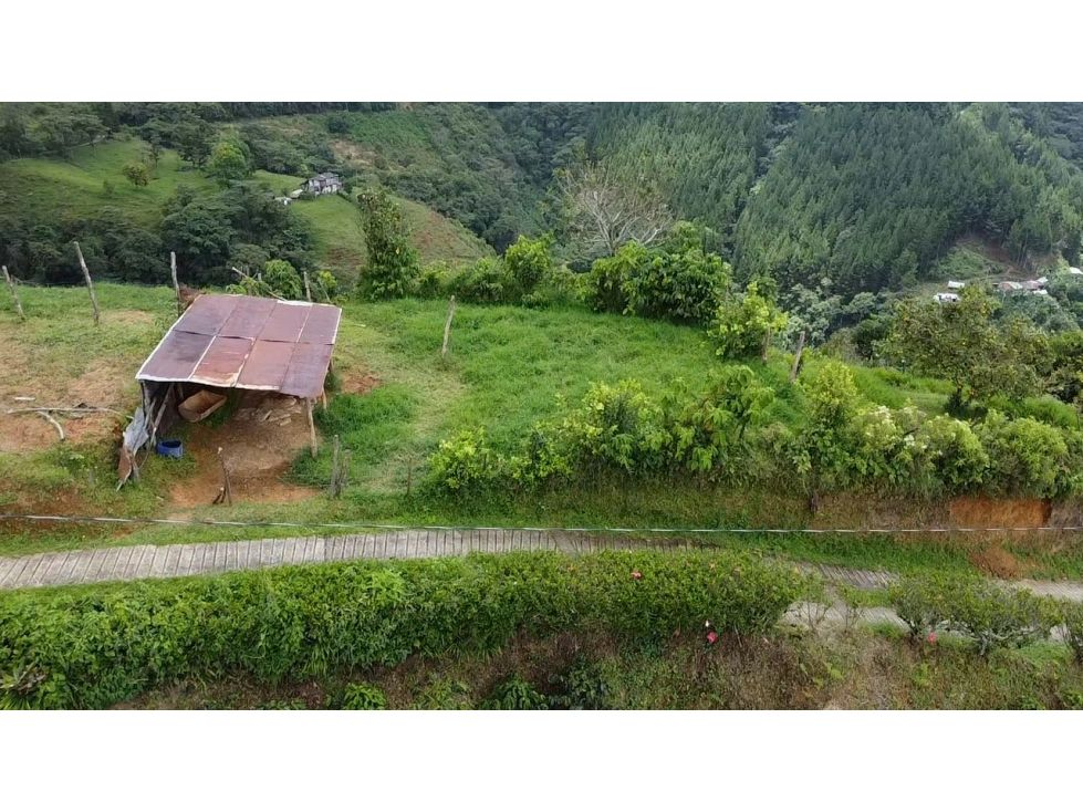Lote en venta Antioquia Fredonia Fredonia 1200 m2 Habitaciones 0 Baños 0 Garajes 0 Precio $75000000