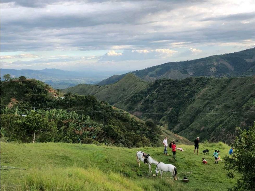 Finca en venta Risaralda Belén De Umbría Belén De Umbría 250 m2 Habitaciones 7 Baños 3 Garajes 1 Precio $890000000