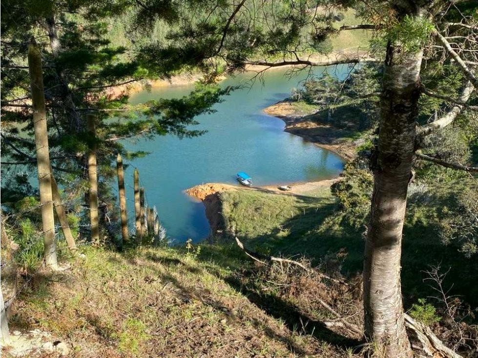 Lote en venta Antioquia Guatape Guatape 3820 m2 Habitaciones 0 Baños 0 Garajes 0 Precio $955000000
