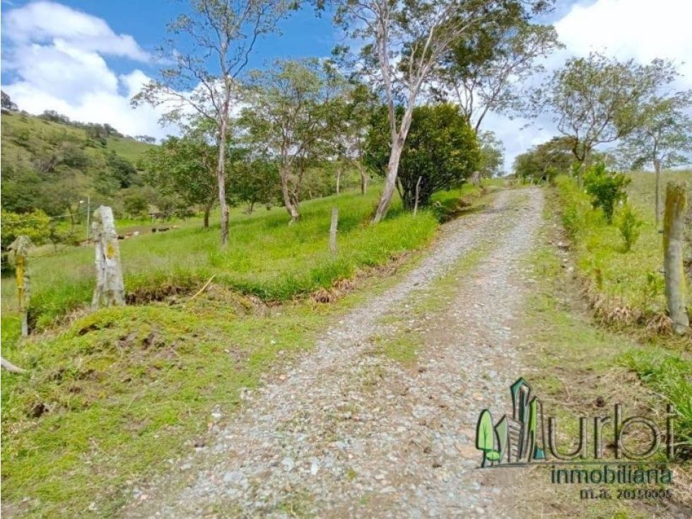 Finca en venta Boyacá Moniquirá Moniquira 350 m2 Habitaciones 3 Baños 3 Garajes 10 Precio $1860000000
