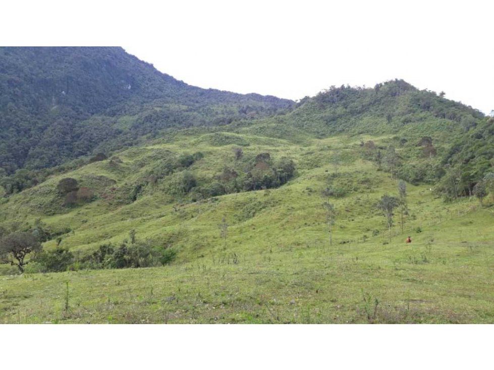 Finca en venta Quindío Córdoba Córdoba 80 m2 Habitaciones 3 Baños 1 Garajes 0 Precio $1880000000