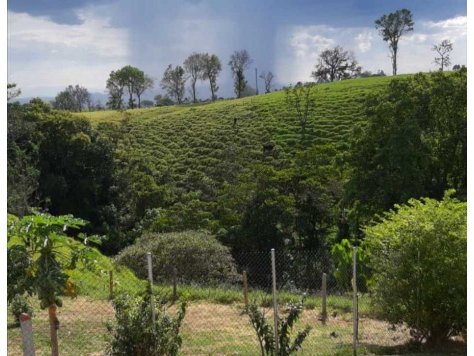 Finca en venta Quindío Circasia Circasia 300 m2 Habitaciones 5 Baños 3 Garajes 2 Precio $1750000000