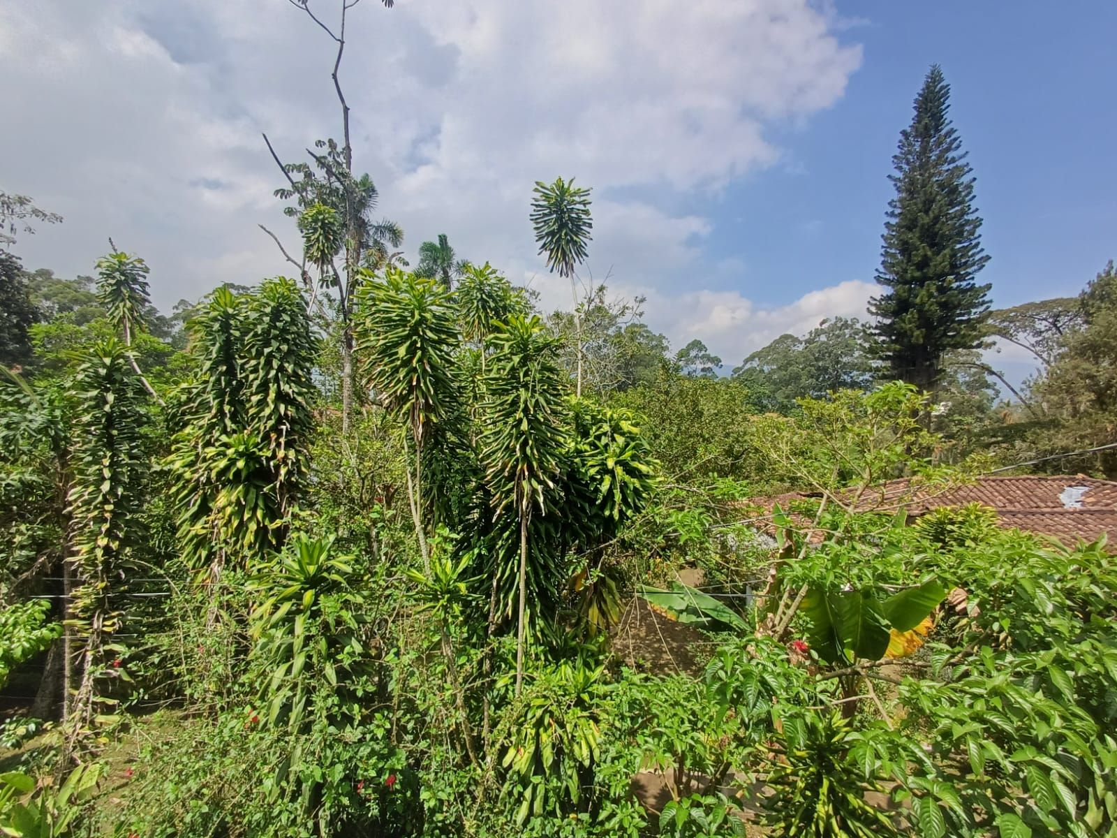 Casa en arriendo Antioquia Medellín Zuñiga 200 m2 Habitaciones 4 Baños 3 Garajes 2 Precio $9400000