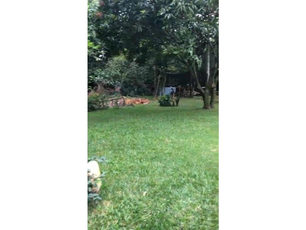 Lote en venta Antioquia Bello Urbanización El Trebol 1500 m2 Habitaciones 0 Baños 0 Garajes 0 Precio $1500000000