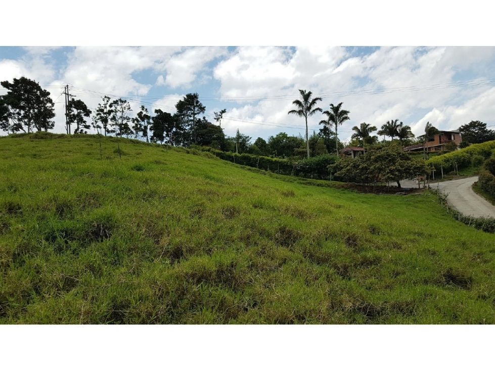 Lote en venta Risaralda Pereira San Jose 4074 m2 Habitaciones 0 Baños 0 Garajes 0 Precio $650000000