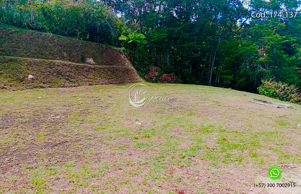 Lote en venta Antioquia El Carmen De Viboral Centro 20 m2 Habitaciones 0 Baños 0 Garajes 0 Precio $290000000