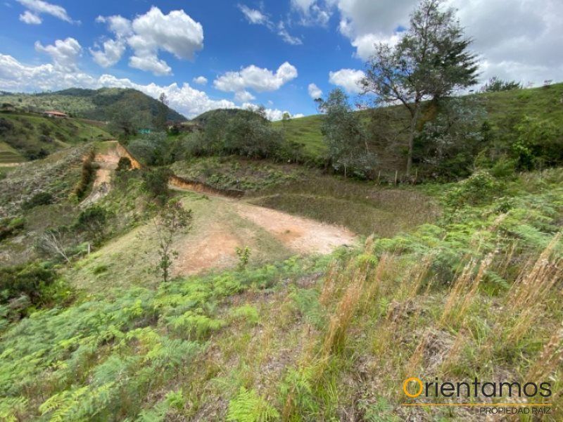 Lote en venta Antioquia San Vicente San Vicente 3275 m2 Habitaciones 0 Baños 0 Garajes 0 Precio $220000000