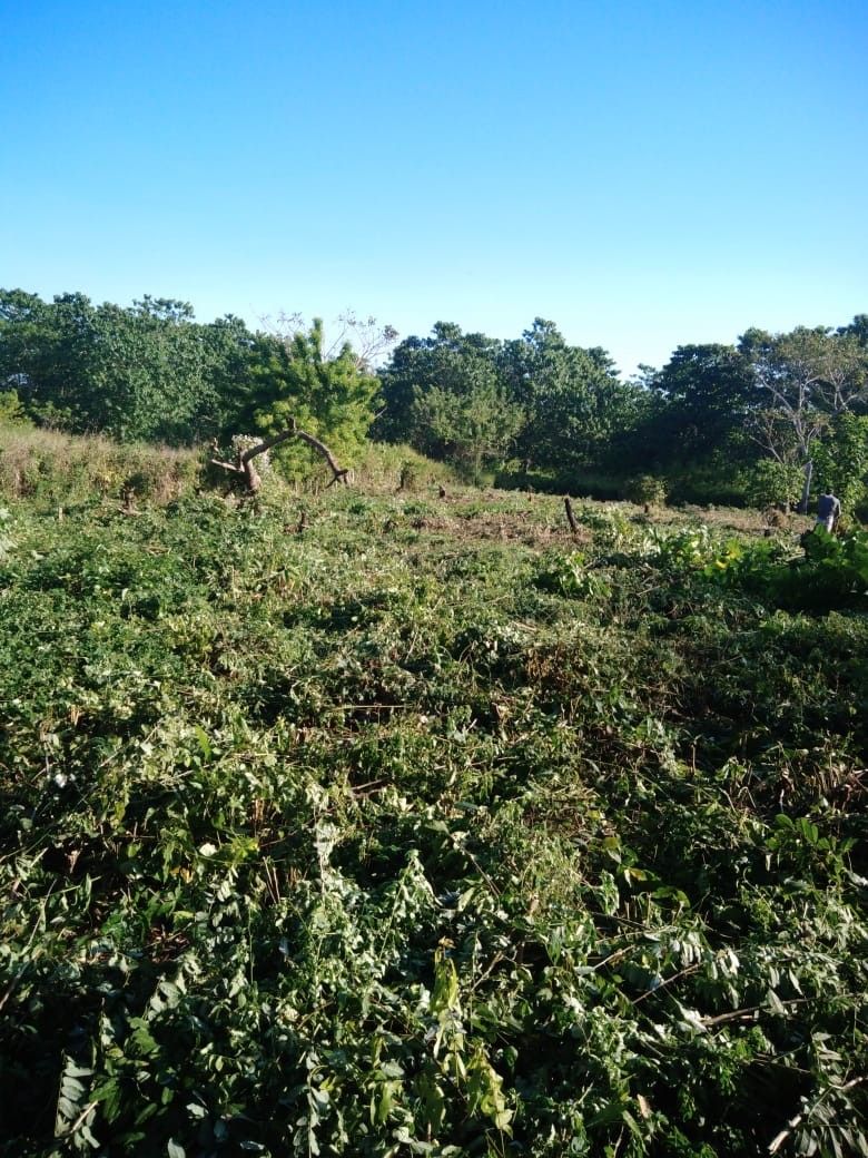 Lote en venta Bolívar Turbaco El Rodeo 0 m2 Habitaciones 0 Baños 0 Garajes 0 Precio $847800000