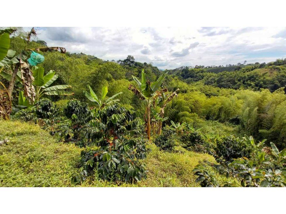 Finca en venta Quindío Córdoba Córdoba 80 m2 Habitaciones 3 Baños 1 Garajes 1 Precio $550000000
