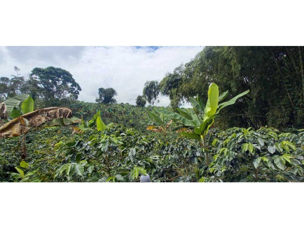 Finca en venta Quindío Filandia Filandia 300 m2 Habitaciones 6 Baños 4 Garajes 2 Precio $1150000000