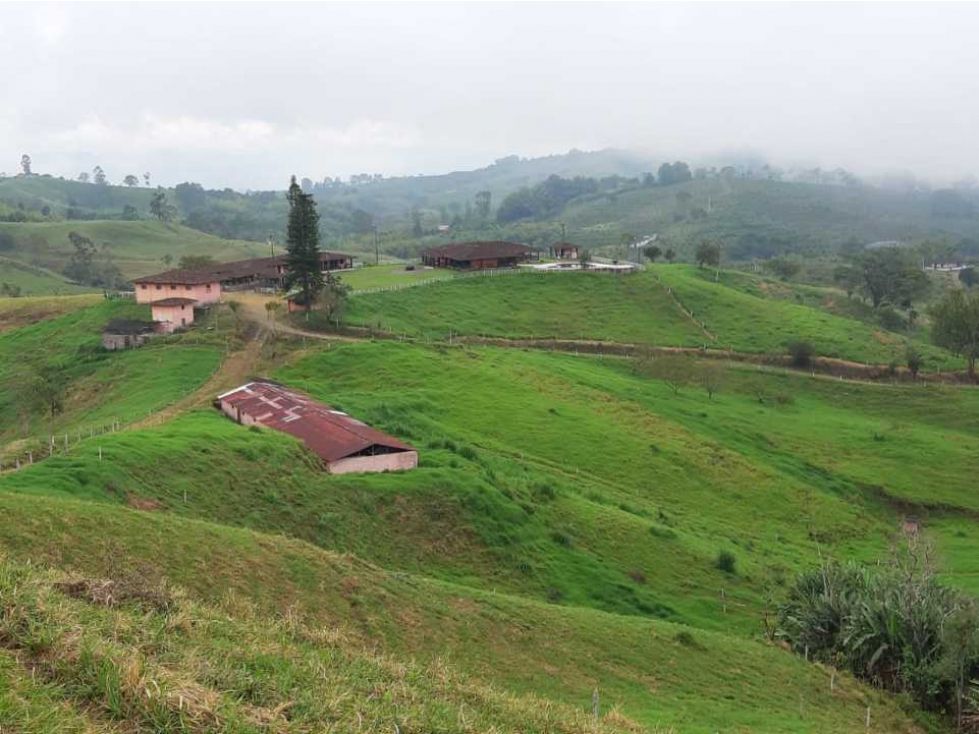 Finca en venta Valle Del Cauca Sevilla Sevilla 600 m2 Habitaciones 6 Baños 3 Garajes 3 Precio $5850000000