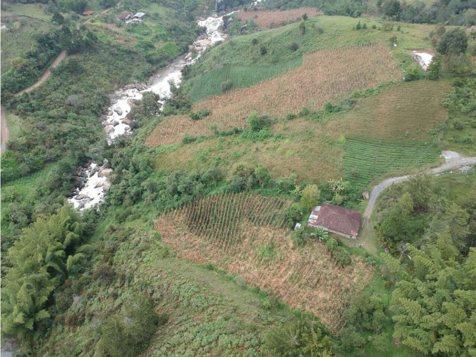 Finca en venta Antioquia Marinilla Marinilla 1736 m2 Habitaciones 3 Baños 2 Garajes 0 Precio $920000000
