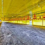 Finca en venta Cauca Santander De Quilichao Santander De Quilichao 0 m2 Habitaciones 1 Baños 1 Garajes 0 Precio $1200000000