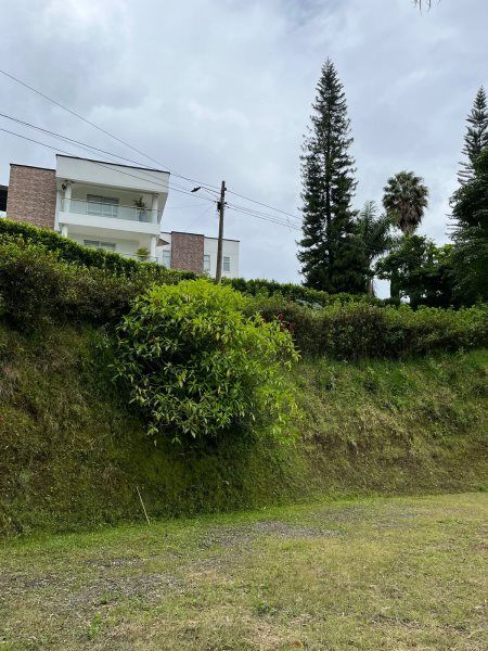 Lote en venta Antioquia Sabaneta Sabaneta 4230 m2 Habitaciones 0 Baños 0 Garajes 0 Precio $1000000000