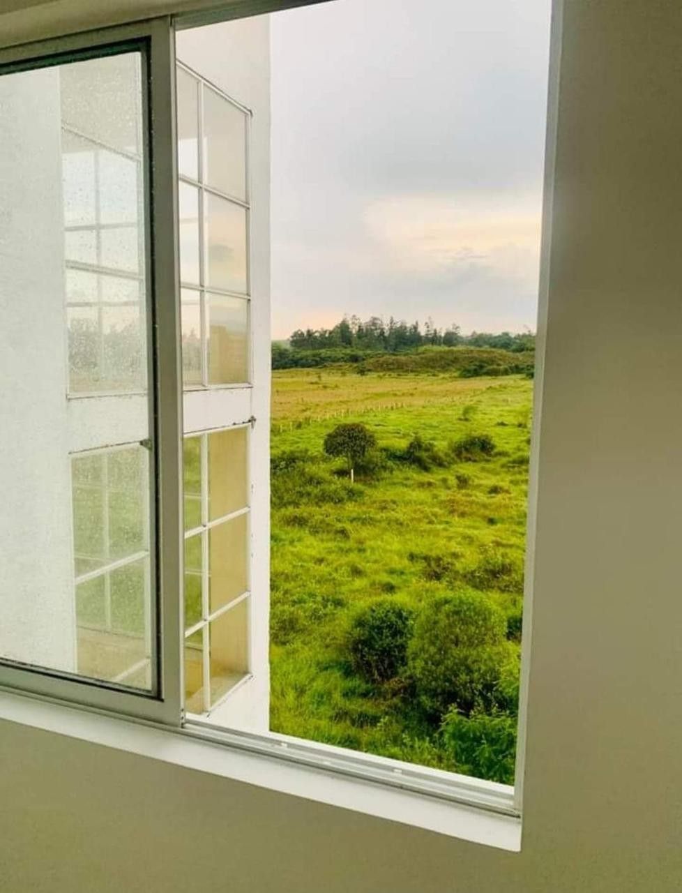 Apartaestudio en venta Cauca Popayán Campo Bello 44 m2 Habitaciones 1 Baños 1 Garajes 0 Precio $150000000